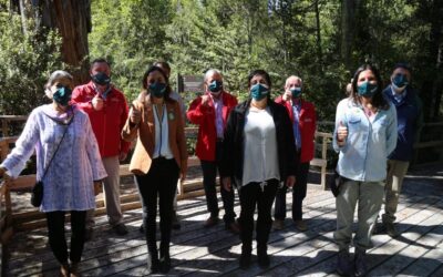 Ministra Undurraga lanza proyecto + Bosques para la gestión sustentable de más de 25 mil hectáreas de bosque nativo en Chile